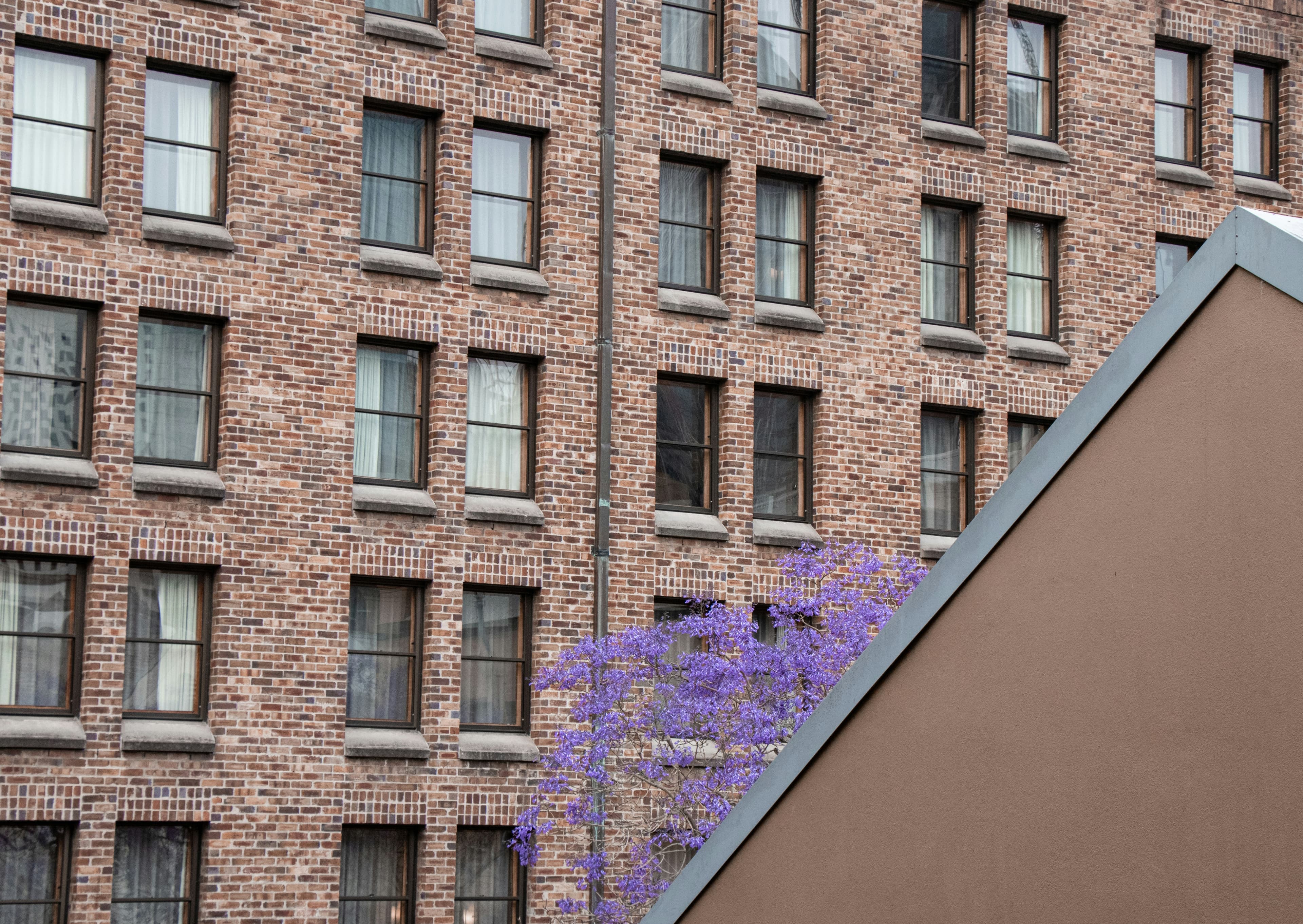 Property and Strata Maintenance